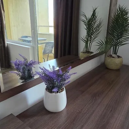 Апартаменты нарцис Святые Константин и Елена